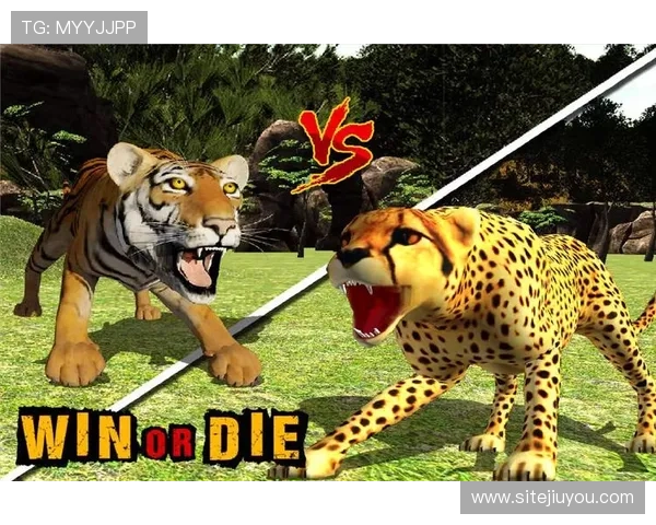 九游电脑模拟器全新升级版本带你畅享极致游戏体验