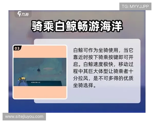 畅游九游在线官网，畅享全新游戏体验与乐趣